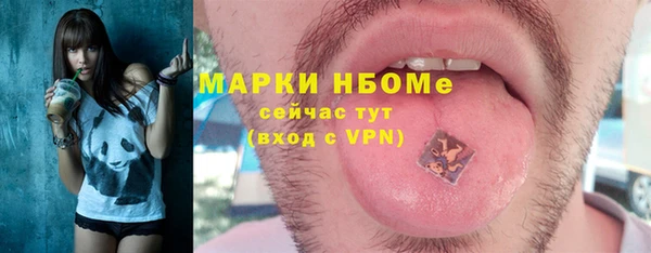шишки Балахна