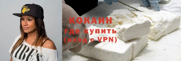 шишки Балахна