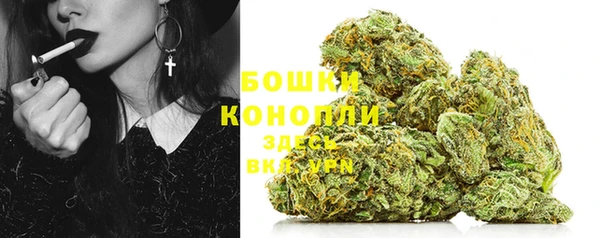 шишки Балахна