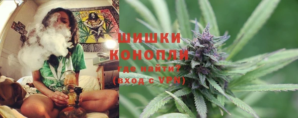 шишки Балахна