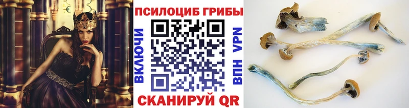 Купить закладки  Джанкой  Псилоцибиновые грибы мицелий 